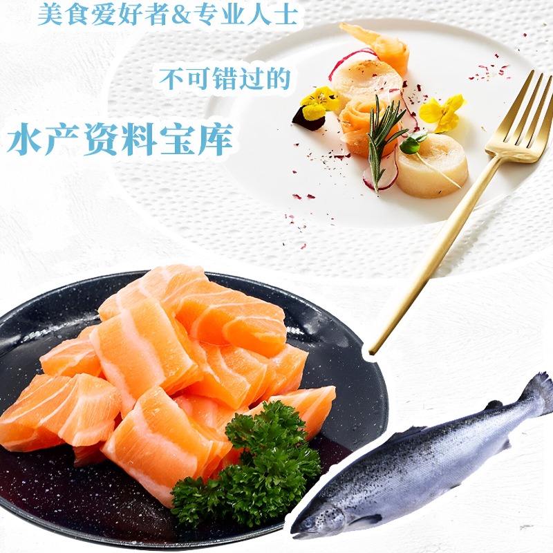 Buku Resep Makanan Laut DK 300 - Home Cooking Cookbook ulasan dan harga